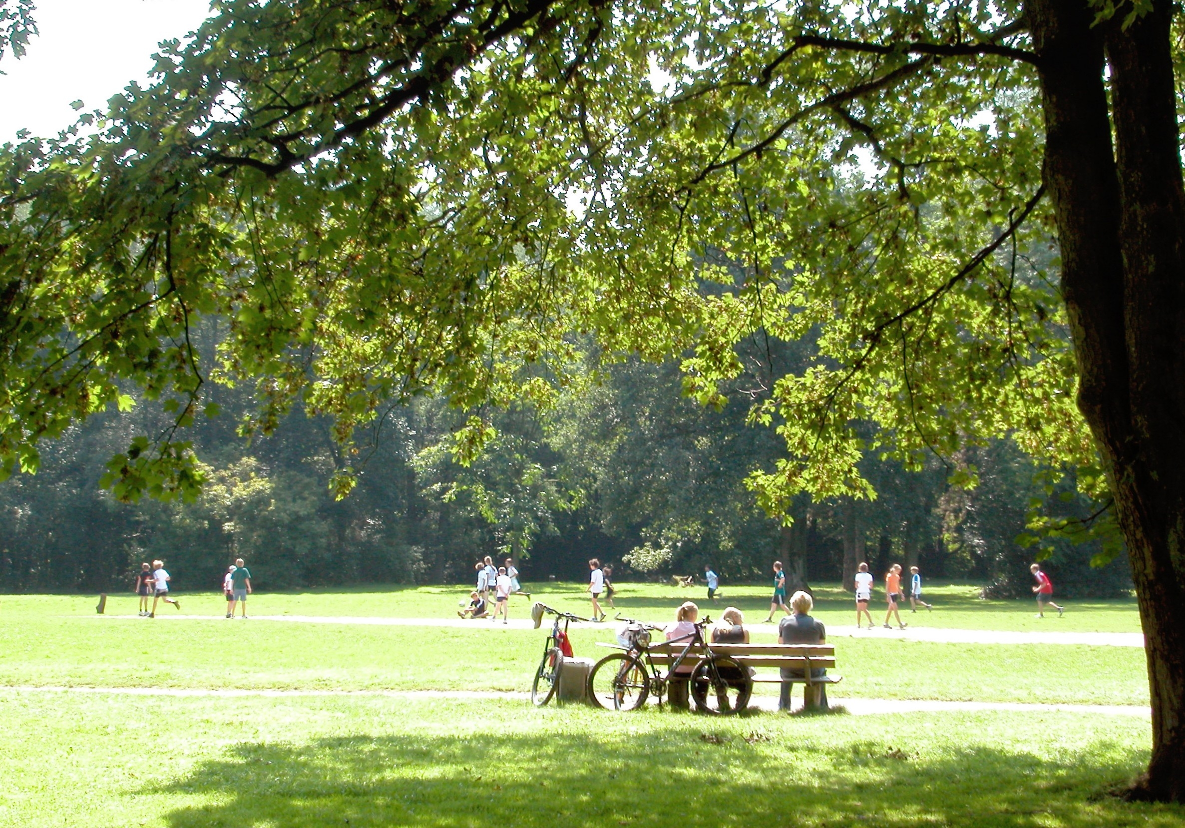 Witthausbusch – Bild 5