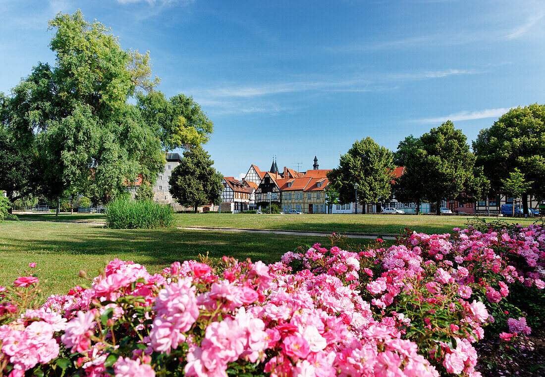 Wordgarten – Bild 5