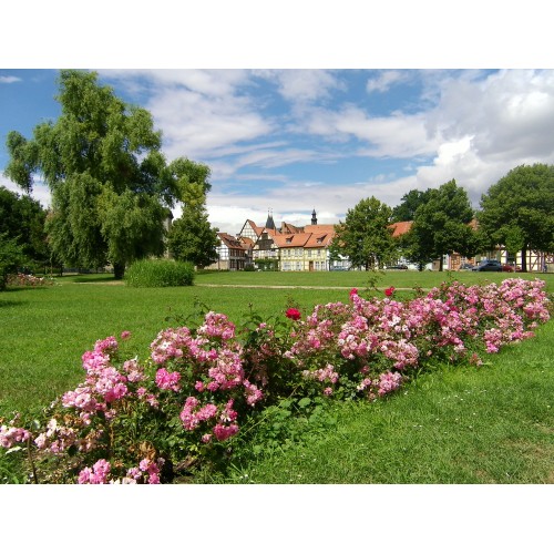 Wordgarten – Bild 6