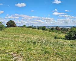 Perchtoldsdorfer Heide – Bild 3