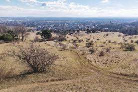 Perchtoldsdorfer Heide – Bild 5