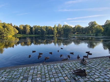 Tor zur Wildnis – Bild 2
