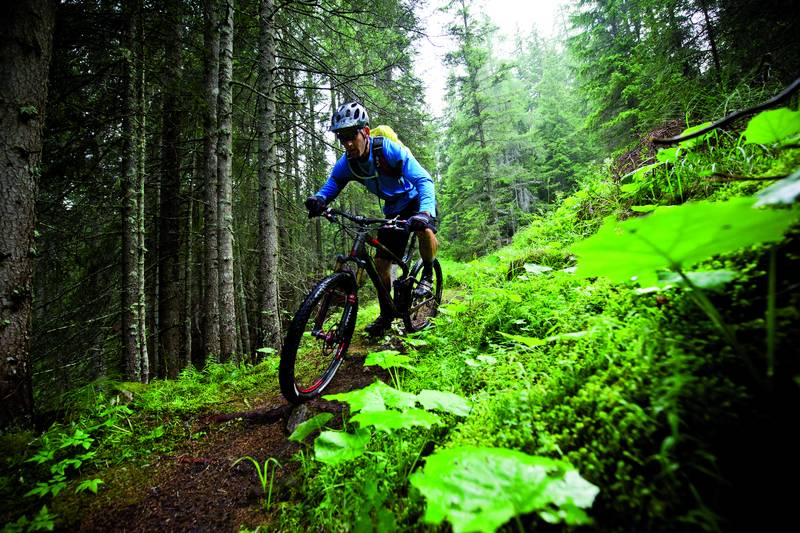 Tor zur Wildnis – Bild 3