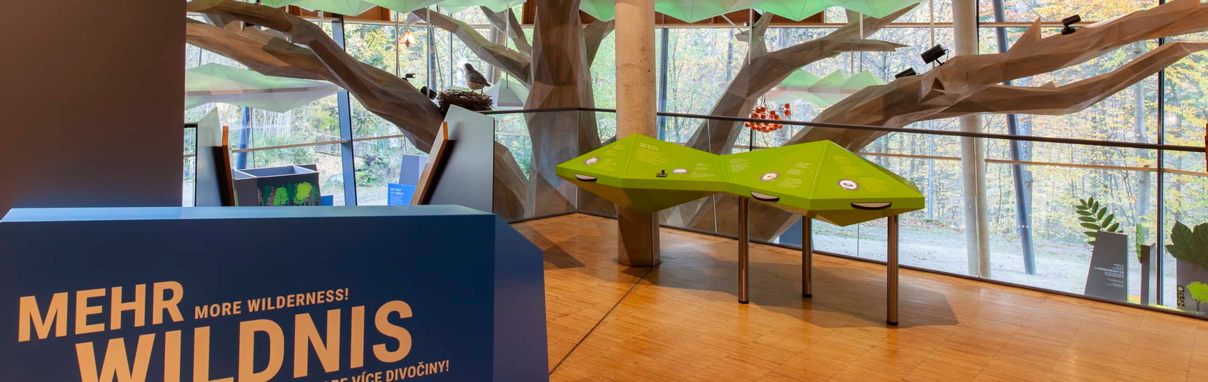 Tor zur Wildnis – Bild 5