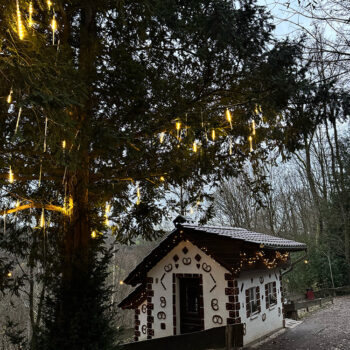 Märchenwald Altenberg – Bild 4