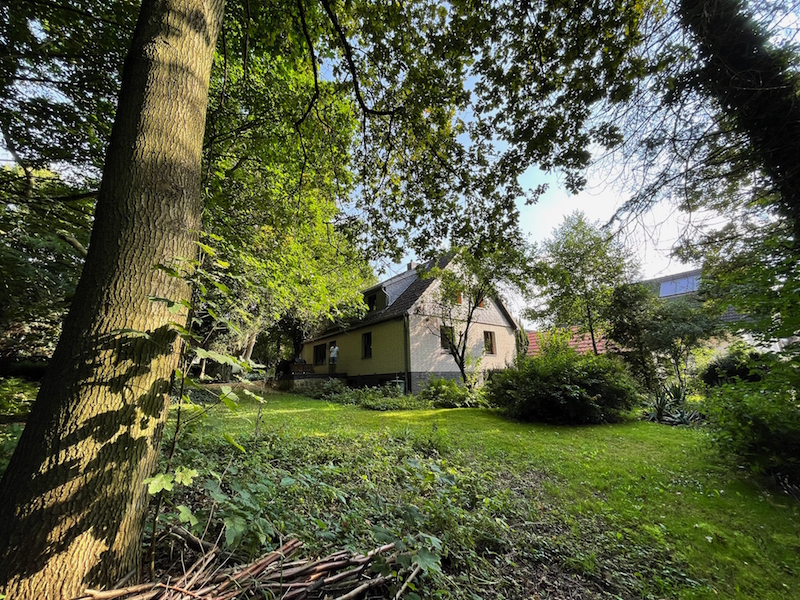 Das Koselige “Waldgarten” – Bild 1
