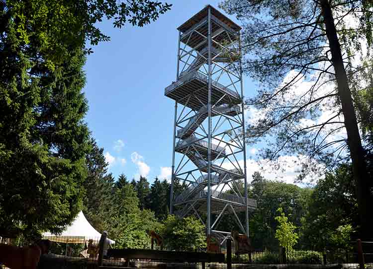 Wildpark Schwarze Berge – Bild 3