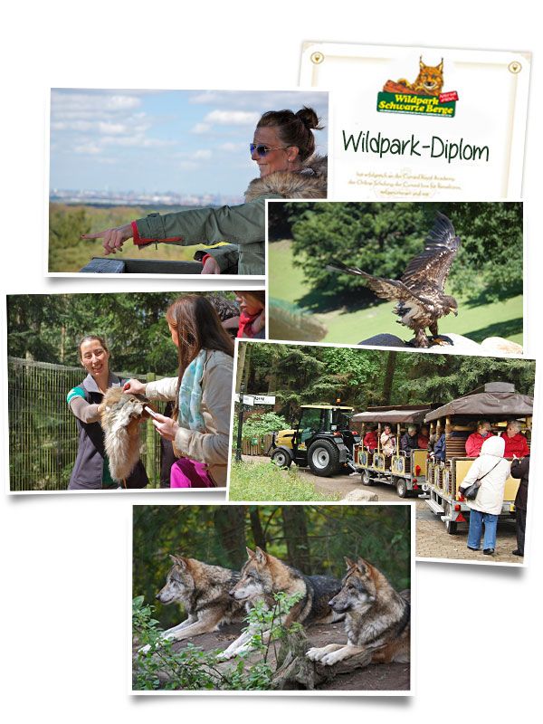 Wildpark Schwarze Berge – Bild 6