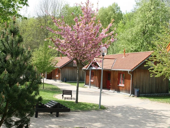 Hinterste Mühle Tierhof – Bild 6
