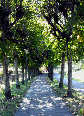 Schillerufer – Bild 5