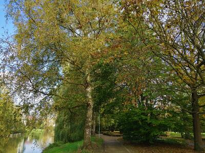 Aawiesenpark Herford – Bild 2