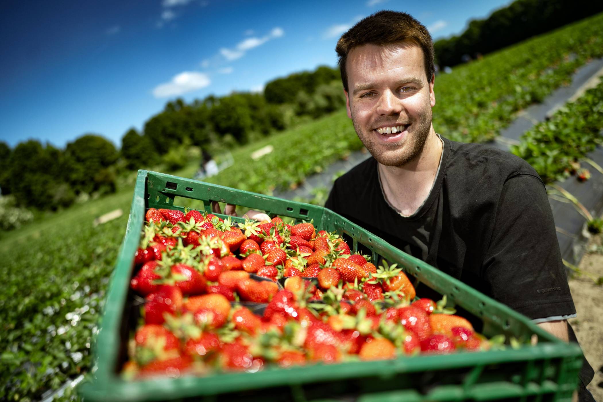 Robert Bossmann Landwirtschaft – Bild 5