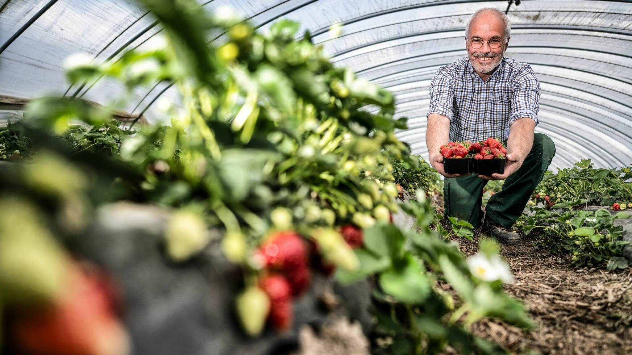 Robert Bossmann Landwirtschaft – Bild 6