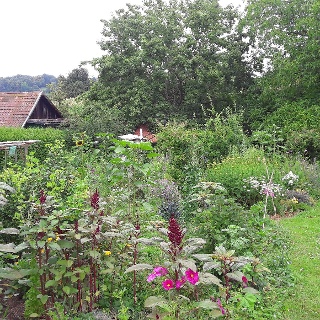 Hexenbrünnele – Bild 5