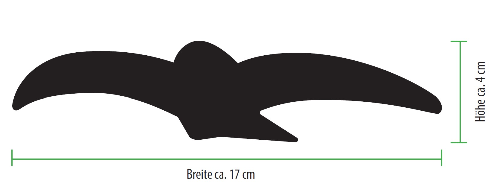Bleichwiese – Bild 3