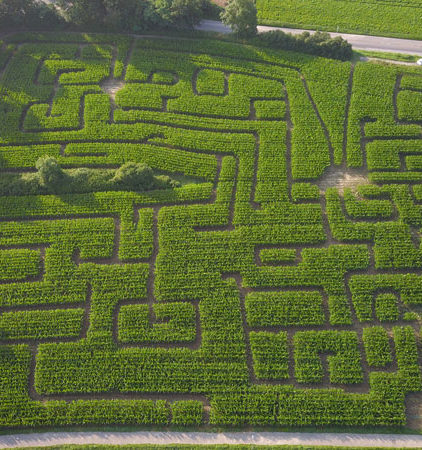 Monster Maisfeldlabyrinth Alsdorf – Bild 1