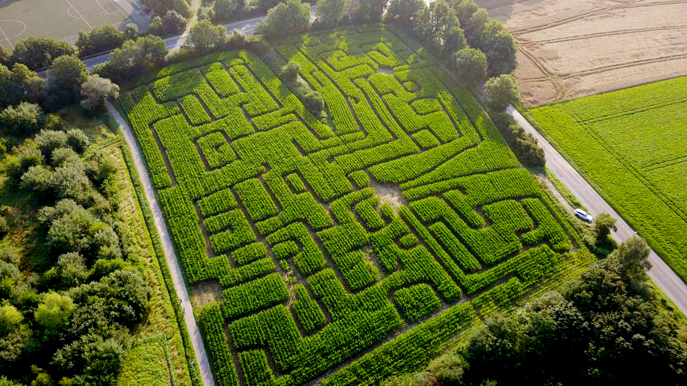 Monster Maisfeldlabyrinth Alsdorf – Bild 2