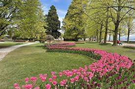 Fête de la Tulipe Morges – Bild 2