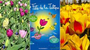 Fête de la Tulipe Morges – Bild 3