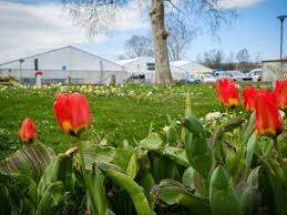 Fête de la Tulipe Morges – Bild 6