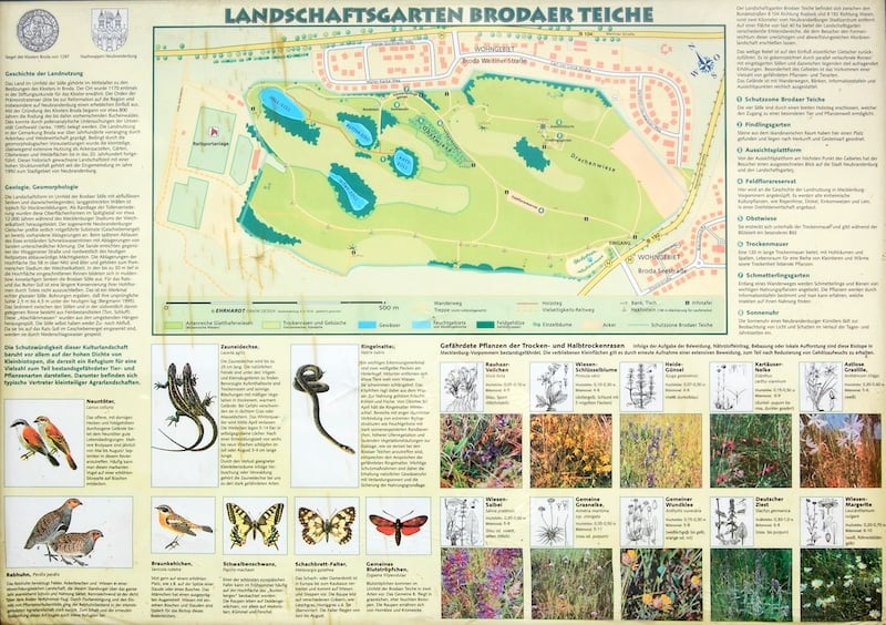 Landschaftsgarten Brodaer Teiche – Bild 5