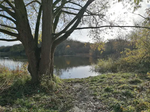 Landschaftsgarten Brodaer Teiche – Bild 6