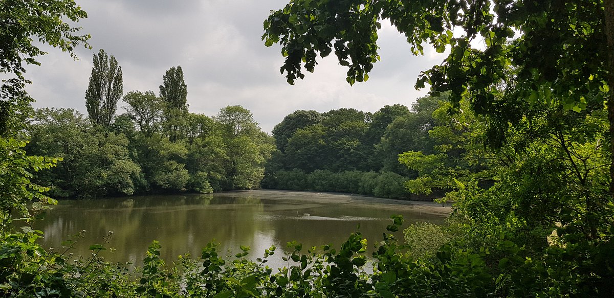 Ziegelweiherpark – Bild 2