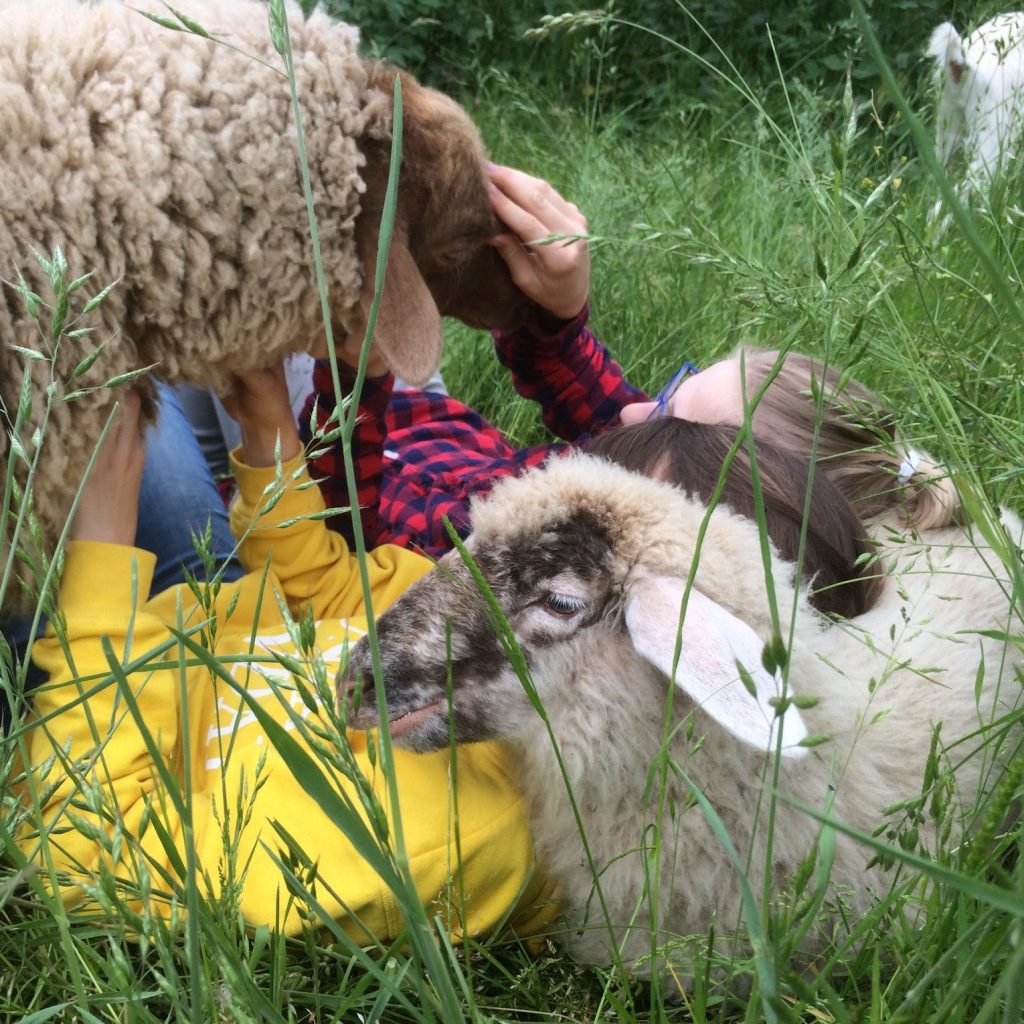 Bildungs- und Begegnungshof Stallgespräch Alfter – Bild 2