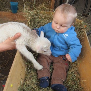 Bildungs- und Begegnungshof Stallgespräch Alfter – Bild 3