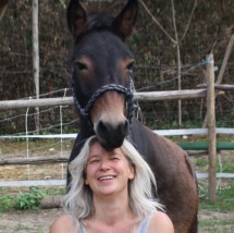 Bildungs- und Begegnungshof Stallgespräch Alfter – Bild 4