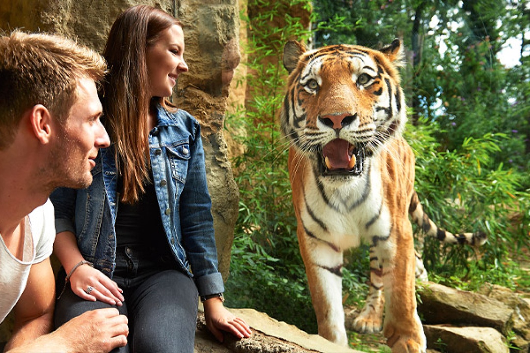 ZOOM Erlebniswelt – Bild 6