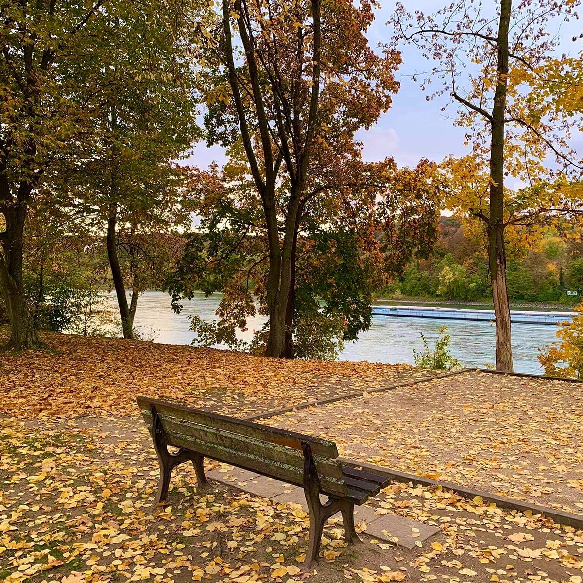 Biergarten Grafenwerth – Bild 4