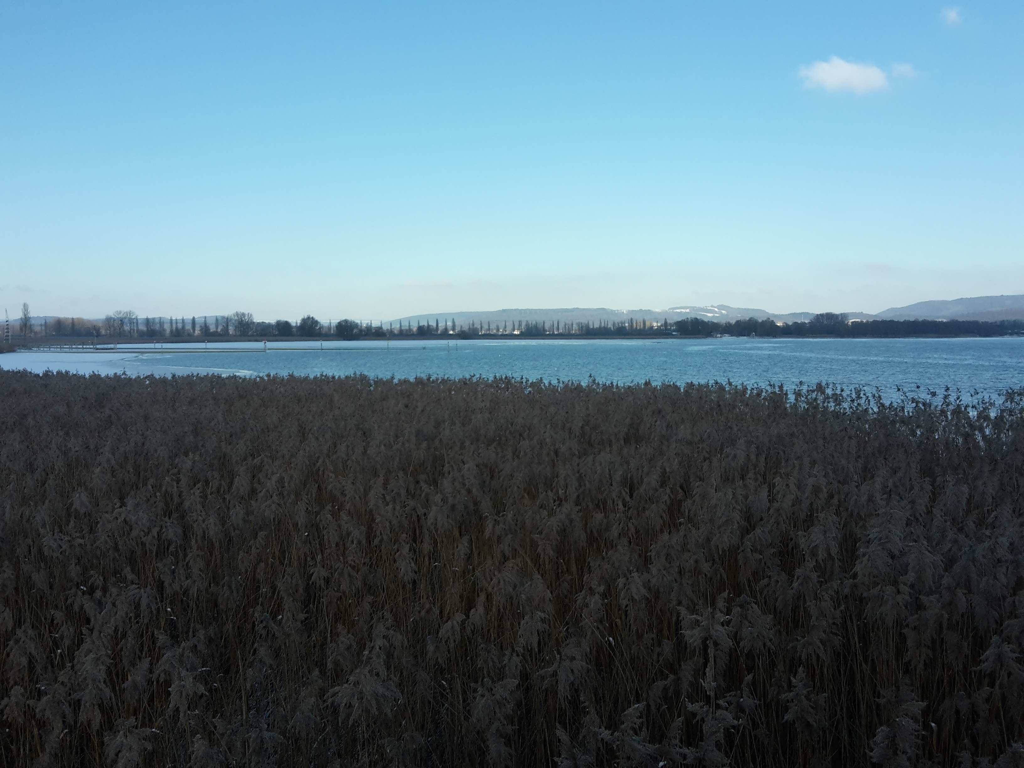 Radolfzeller Bodenseeufer – Bild 3