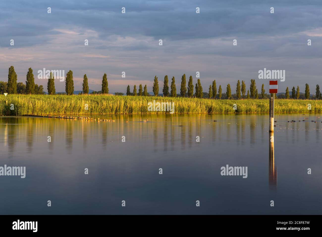 Radolfzeller Bodenseeufer – Bild 4