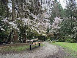 Tipperary Park – Bild 3