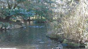 Tipperary Park – Bild 5