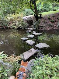 Tipperary Park – Bild 6