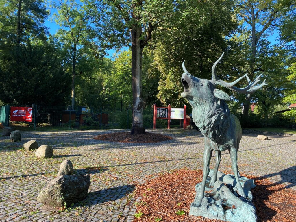 Tierpark Angermünde – Bild 3