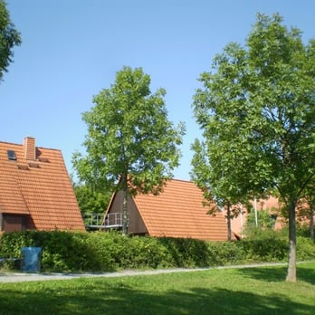 Naherholungsgebiet Mainaue (Kieswäsch) – Bild 5