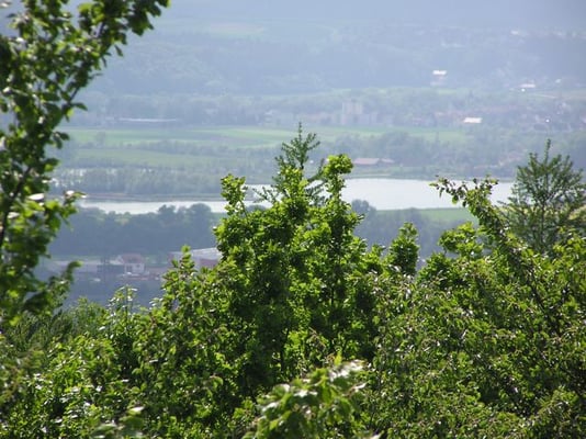 Naherholungsgebiet Mainaue (Kieswäsch) – Bild 6