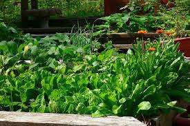 Urban Farm Museum Society of Spryfield – Bild 5