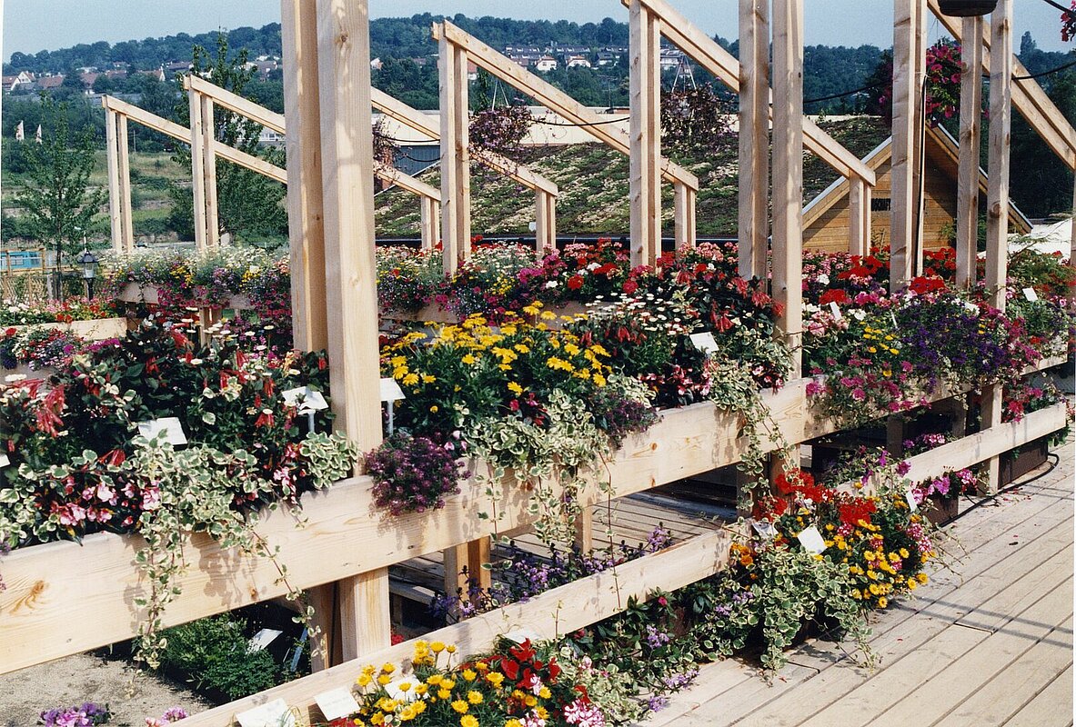 Park an der Enz – Bild 4