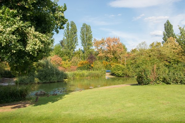 Stadtpark – Bild 1