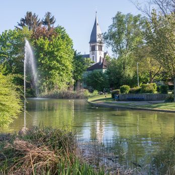 Stadtpark – Bild 3