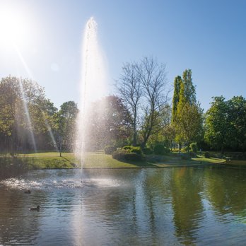 Stadtpark – Bild 4