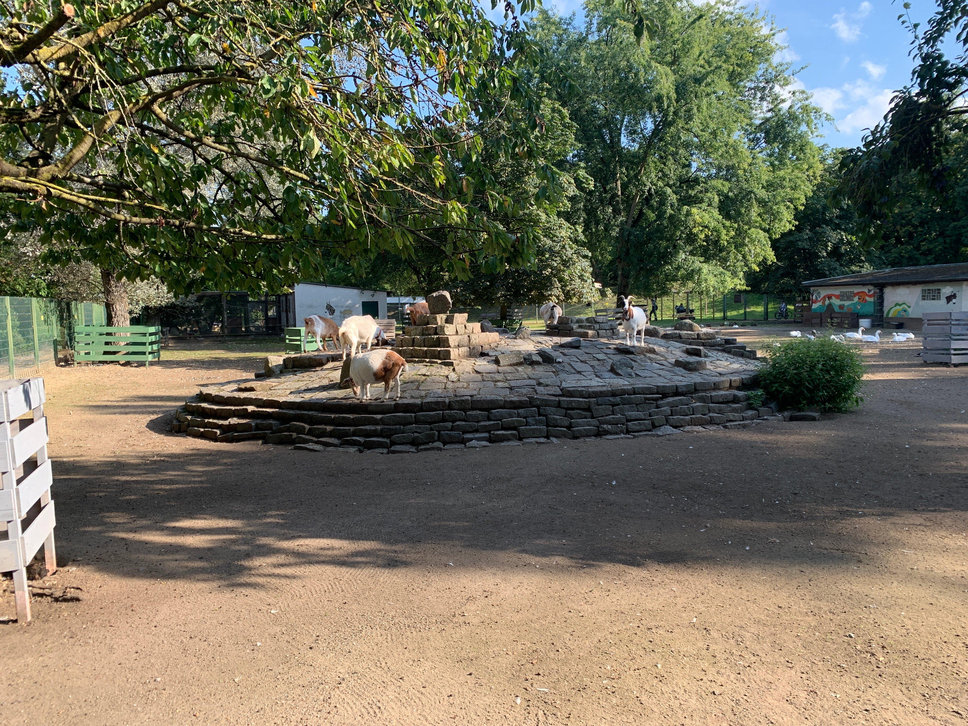 Stadtpark – Bild 6