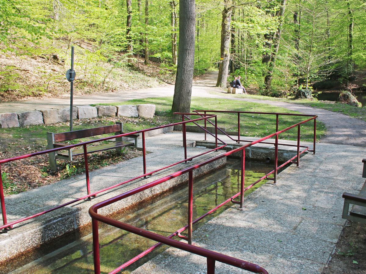 Wassertretstelle Holsteteich im Kasinopark, Alt-Georgsmarienhütte – Bild 2