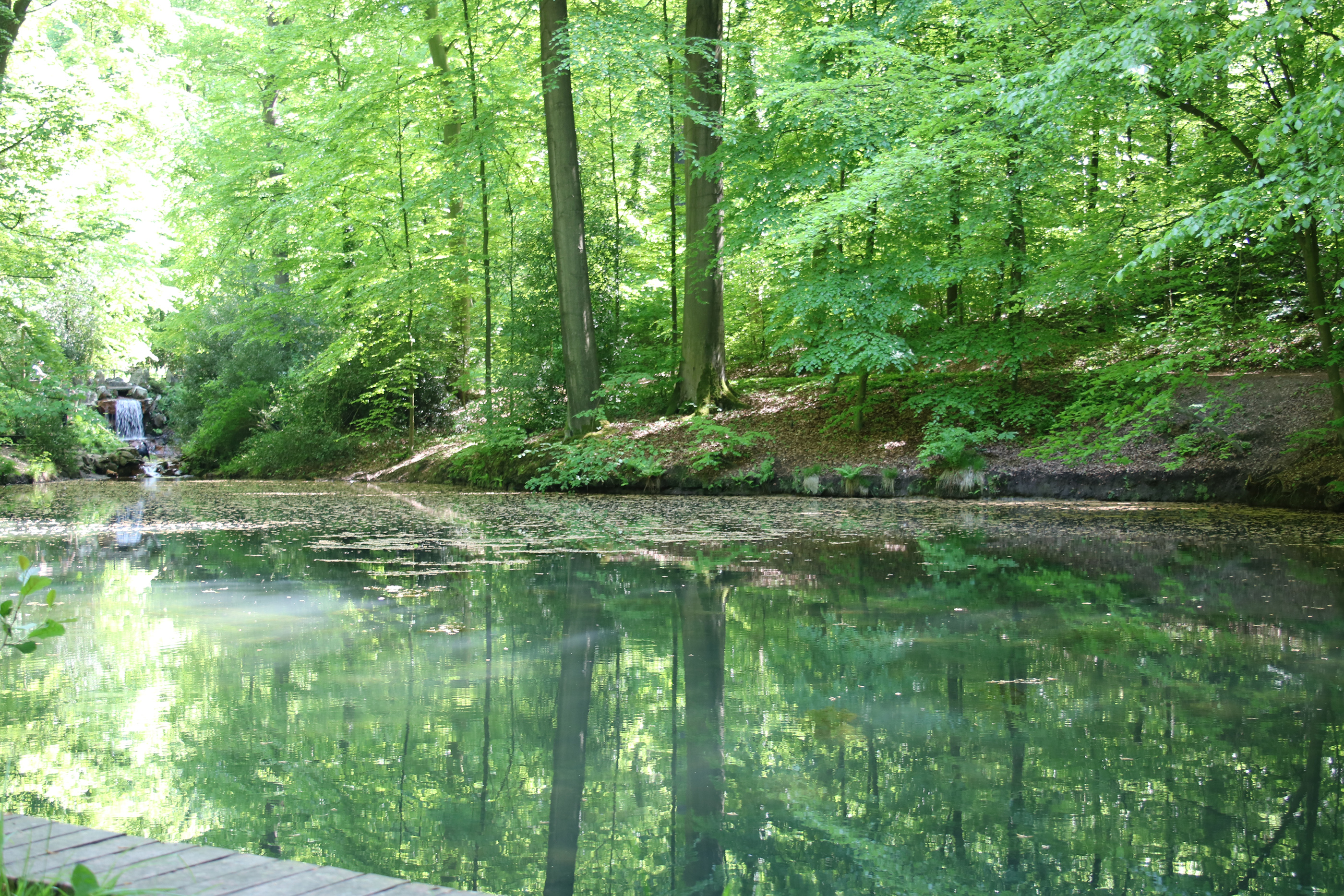 Wassertretstelle Holsteteich im Kasinopark, Alt-Georgsmarienhütte – Bild 4