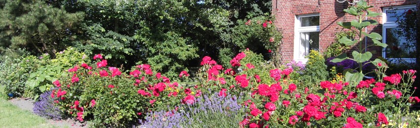 Hof Itzen Anneliese und Focko Itzen – Bild 3