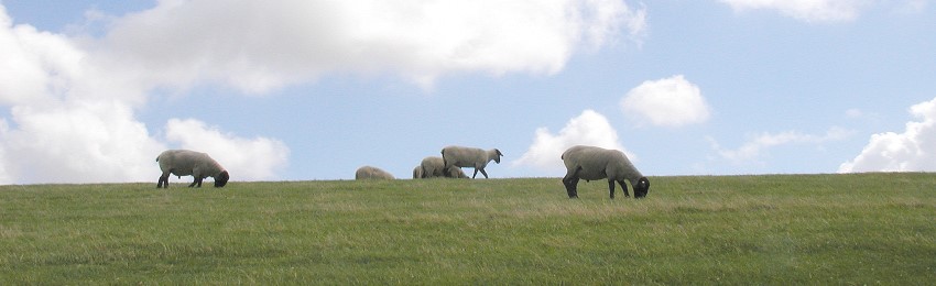 Hof Itzen Anneliese und Focko Itzen – Bild 5